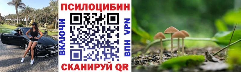 цены наркотик  Андреаполь  Псилоцибиновые грибы Cubensis 